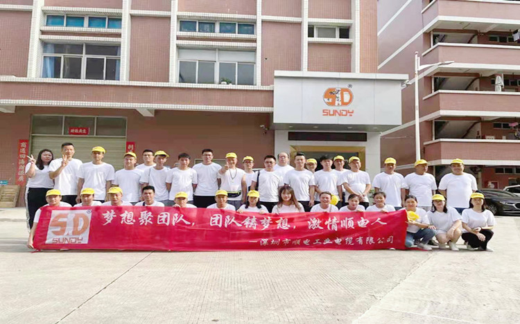 “夢想聚團(tuán)隊(duì)，團(tuán)隊(duì)鑄夢想”順電2021年旅游圓滿結(jié)束